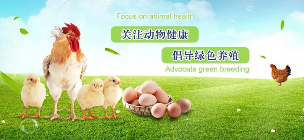 獸藥廠家GMP認(rèn)證儀器配置清單